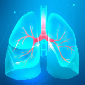 Healthy lung banner for respiratory system